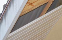 rated Plucks Gutter soffit repair companies